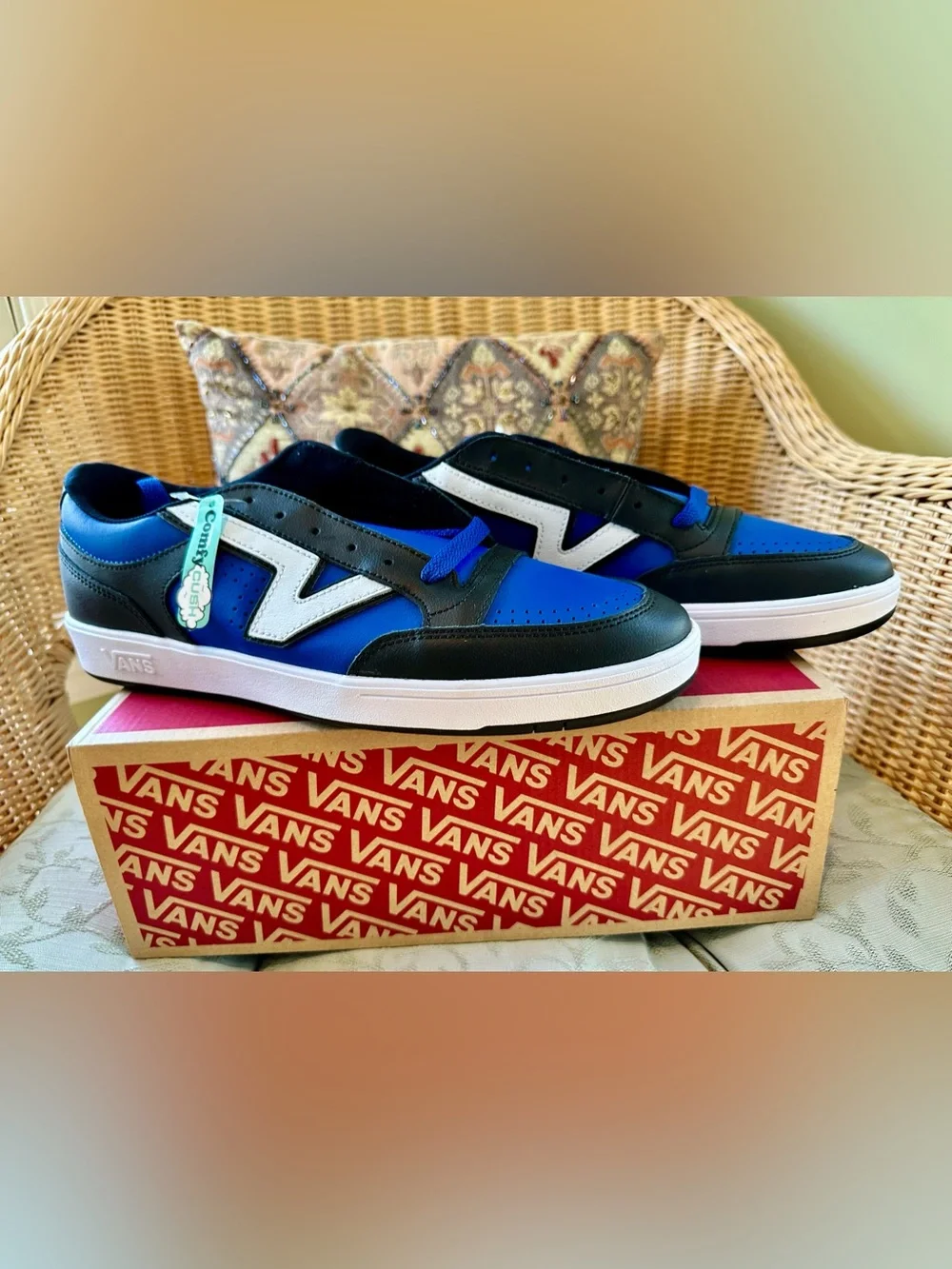 Mens Brand New Vans Lowland CC Sneakers